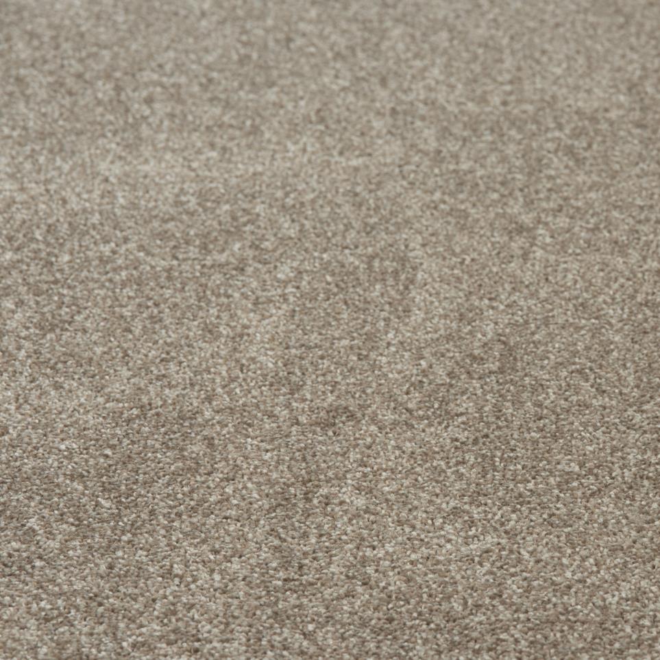 Textured Saxony Johnson Path Beige/Tan Carpet