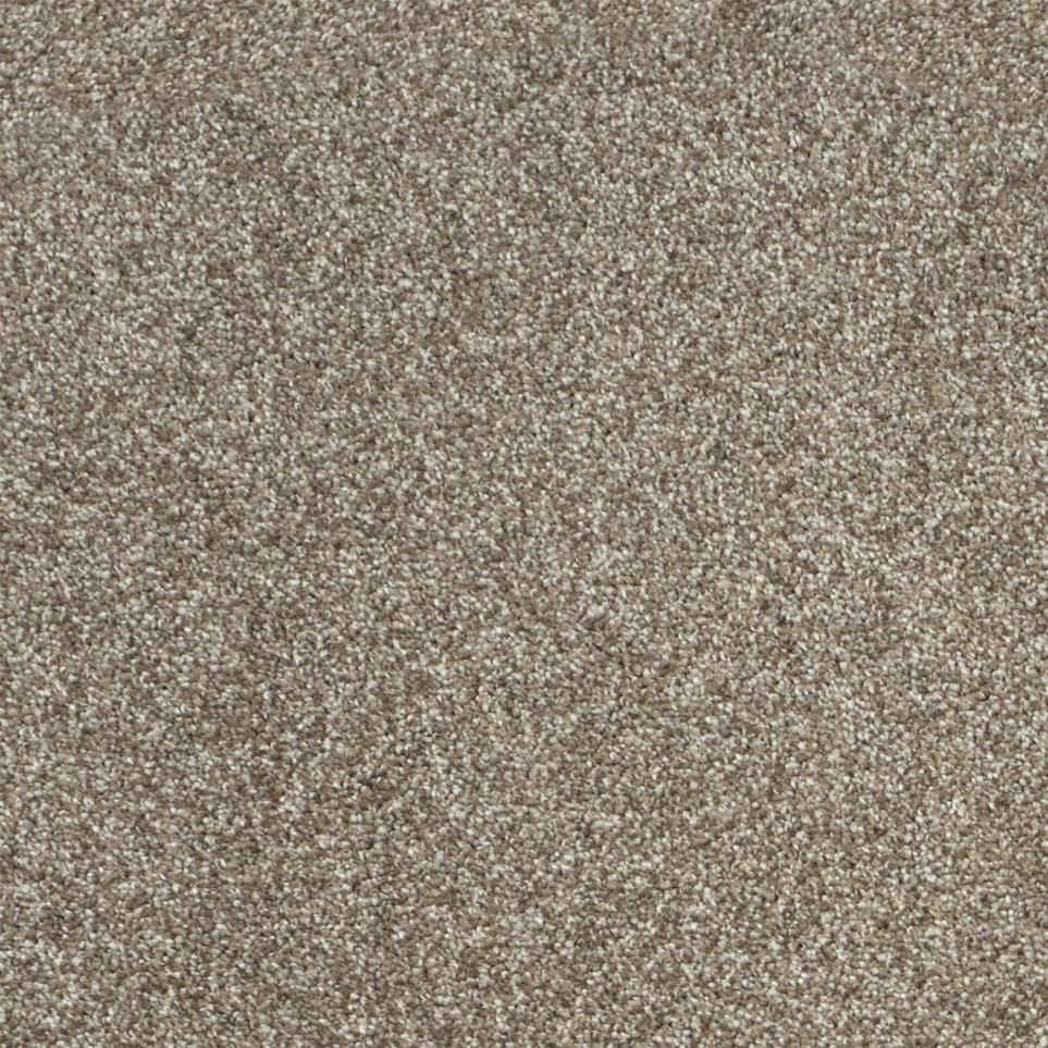 Textured Saxony Johnson Path Beige/Tan Carpet