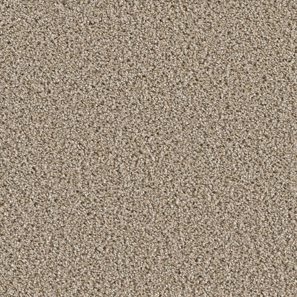 Textured Saxony Pathway Beige/Tan Carpet