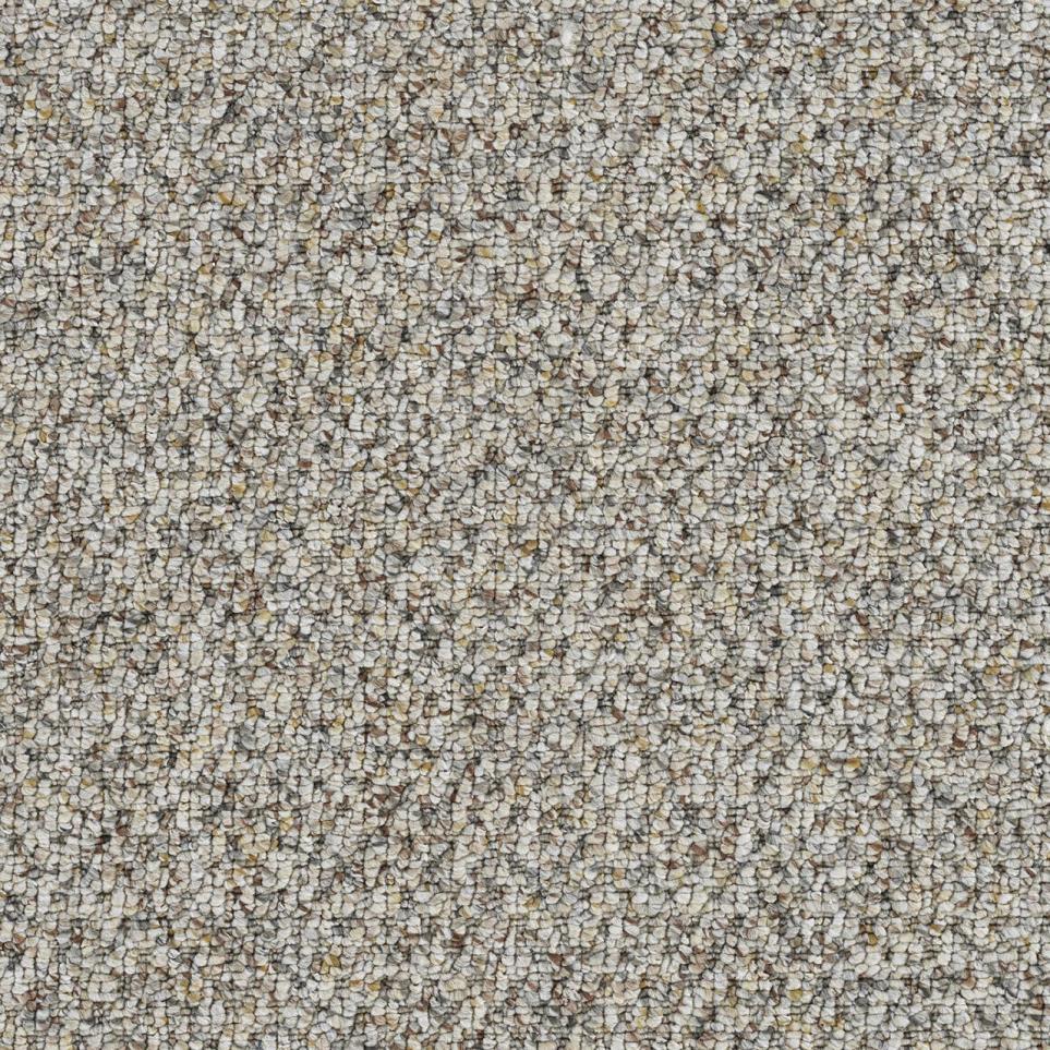Berber EXCITEMENT Beige/Tan Carpet