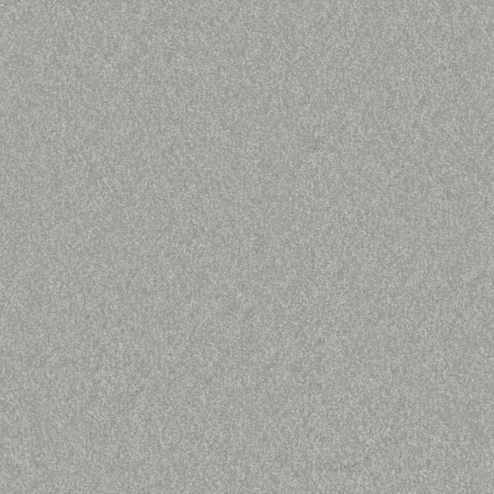 Casual Texture Travel Gray Carpet