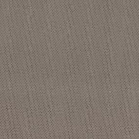 Loop Hilltop Beige/Tan Carpet