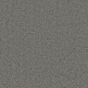 Textured Saxony Established Gray Carpet