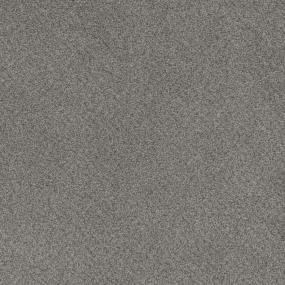 Cut Pile Home Town Gray Carpet