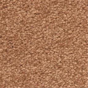 Casual Texture Salmon Beige/Tan Carpet