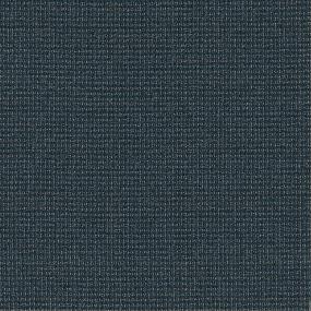 Loop Illusion Blue Carpet