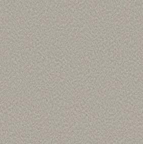 Pattern Buff Gray Carpet