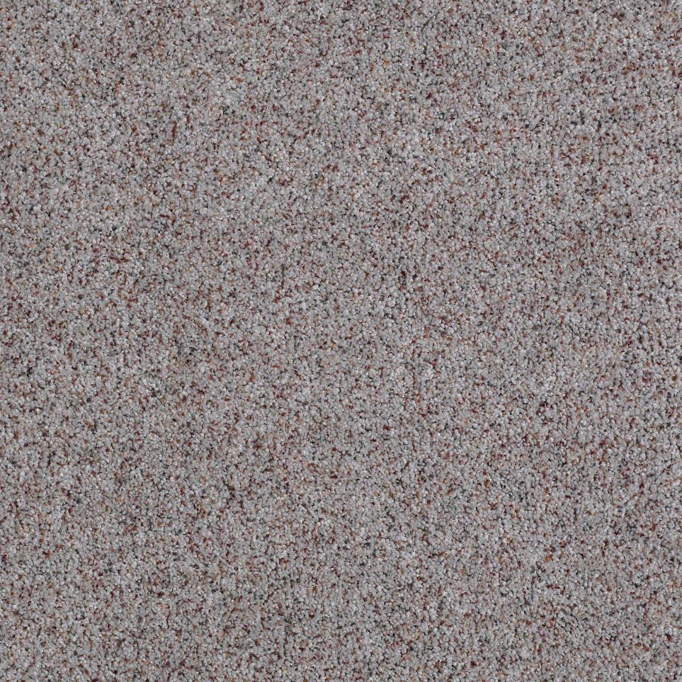 Texture Ash Gray Gray Carpet