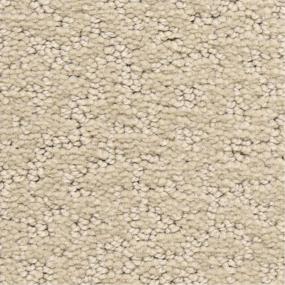 Pattern Abundance Beige/Tan Carpet