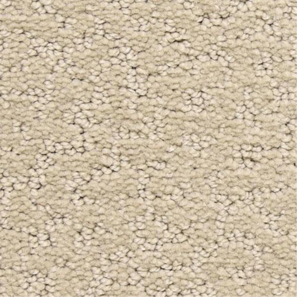 Pattern Abundance Beige/Tan Carpet