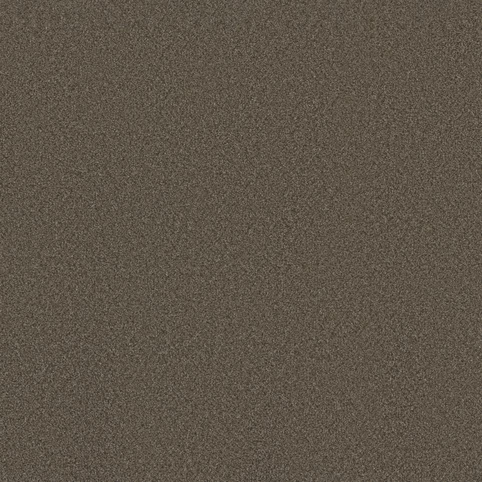 Texture Illusive Brown Carpet
