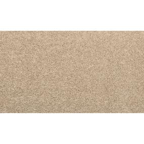 Textured Saxony Stone Wall Beige/Tan Carpet