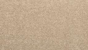 Textured Saxony Stone Wall Beige/Tan Carpet