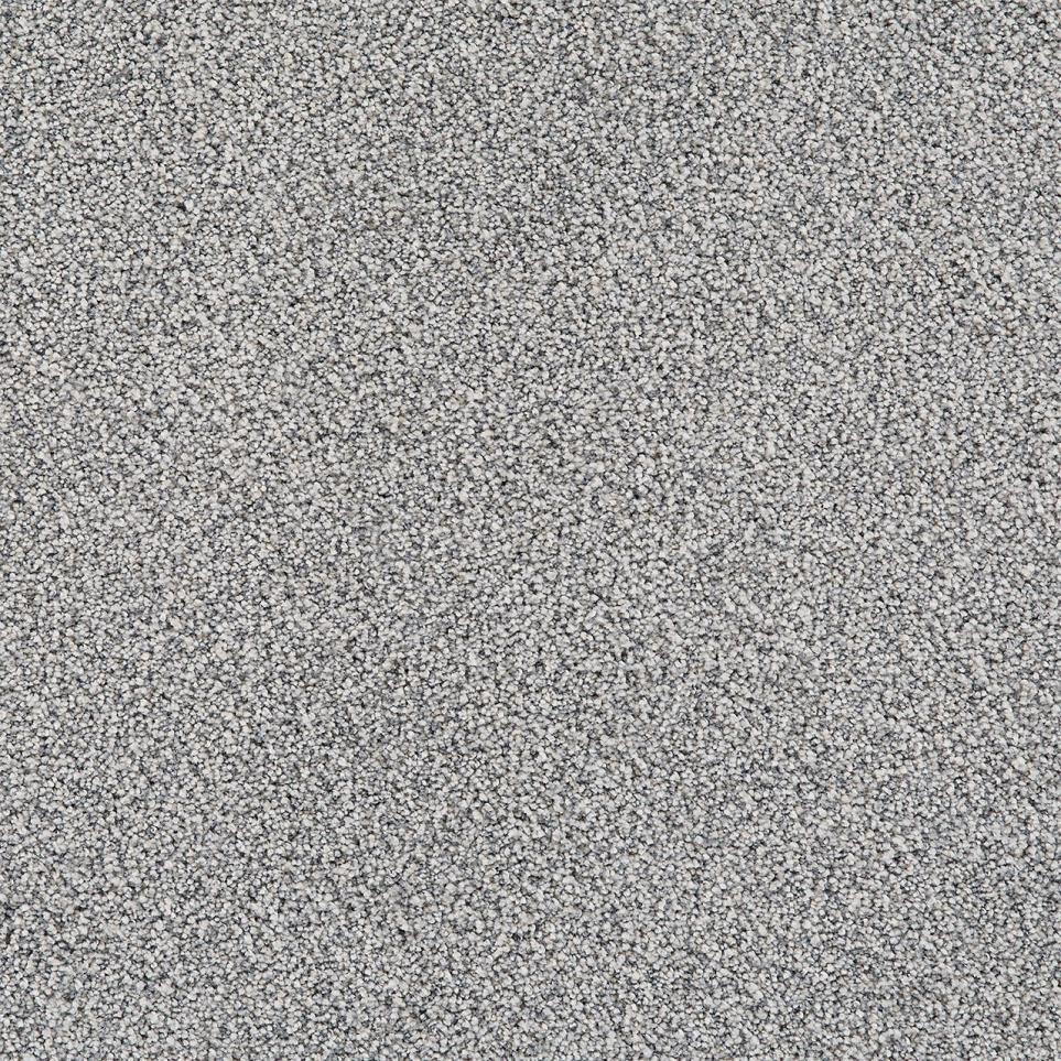 Cut Pile Legacy Gray Carpet