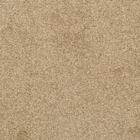 Casual Texture Taffy Beige/Tan Carpet