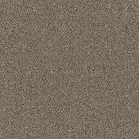 Textured Saxony Joshua Tree Beige/Tan Carpet