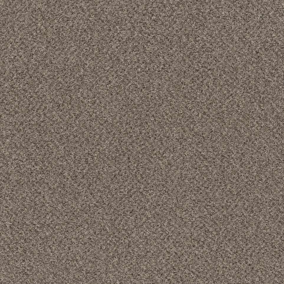 Textured Saxony Joshua Tree Beige/Tan Carpet