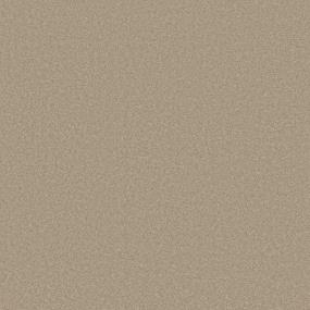 Textured Saxony Suede Brown Carpet