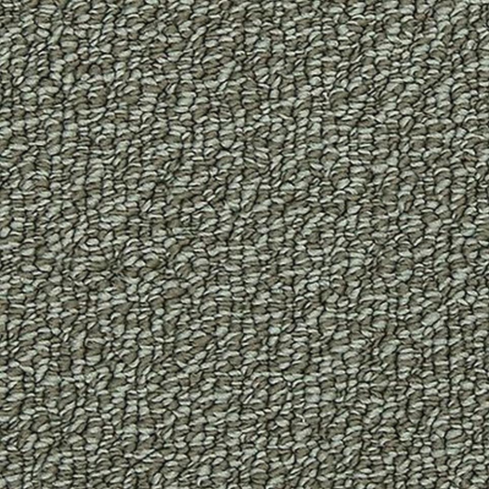 Loop Wabasso Gray Carpet