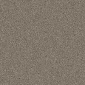 Texture Timber Brown Carpet