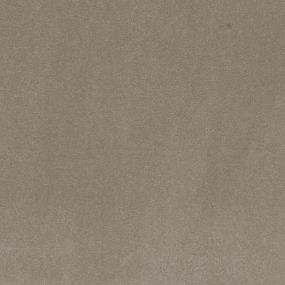 Textured Saxony Trackless Beauty Beige/Tan Carpet