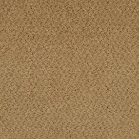 Pattern Butter Rum Brown Carpet