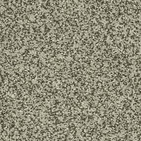 Textured Saxony Greystone Gray Carpet