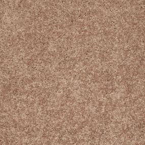 Textured Saxony Sweetwood Beige/Tan Carpet