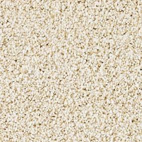 Textured Saxony Serenity Beige/Tan Carpet