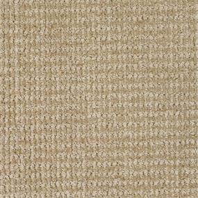 Pattern Patient Beige/Tan Carpet