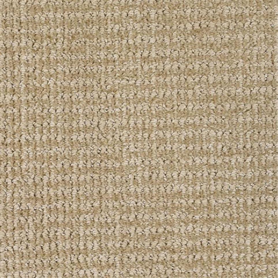 Pattern Patient Beige/Tan Carpet