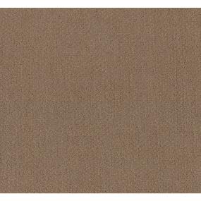 Pattern Boardwalk Brown Carpet