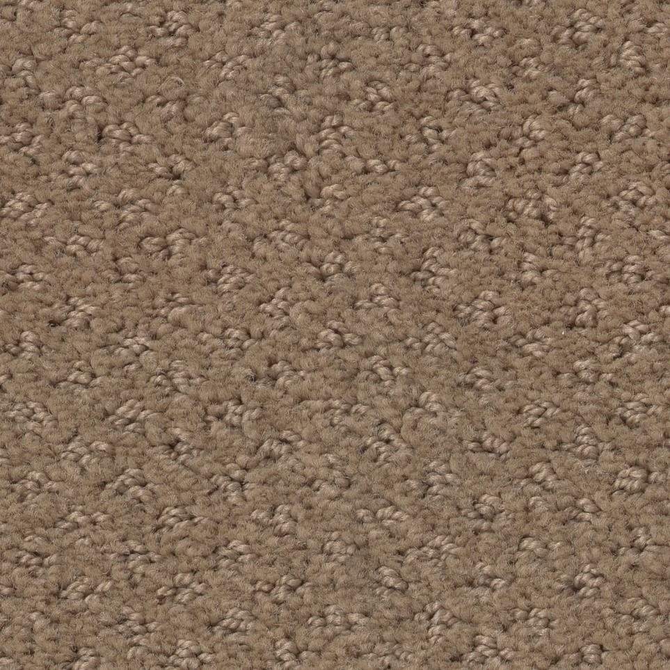 Pattern Boardwalk Brown Carpet