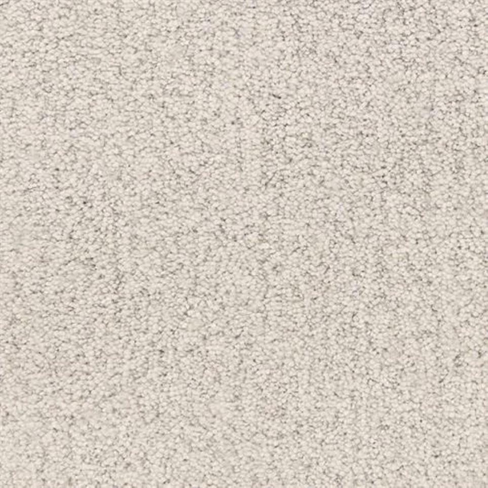 Textured Saxony Wharf Beige/Tan Carpet