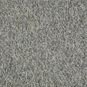 Loop Fence Post Gray Carpet