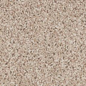 Texture Tradition Beige/Tan Carpet