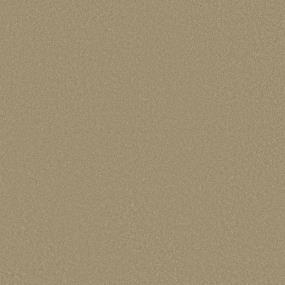Textured Saxony Leather Lace Beige/Tan Carpet