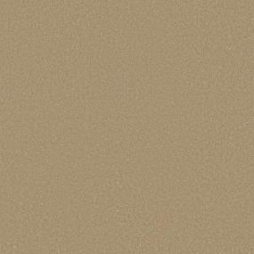 Textured Saxony Leather Lace Beige/Tan Carpet