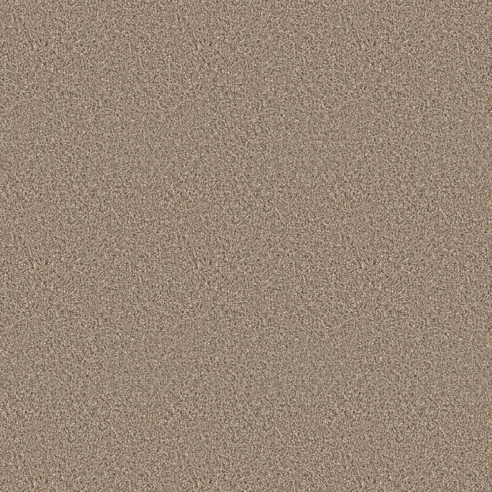 Texture Finesse Brown Carpet