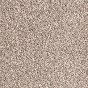 Textured Saxony Traditional Gray Carpet