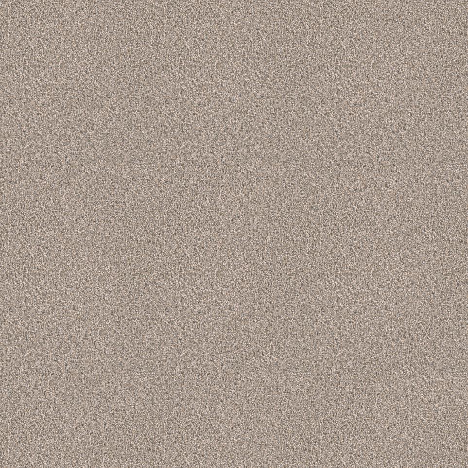 Texture Traditional Gray Carpet