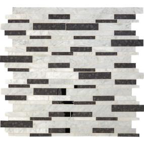 Mosaic Carrara White/Black Ant Mirror Polished Black Tile