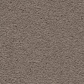 Textured Saxony Poetic Brown Carpet