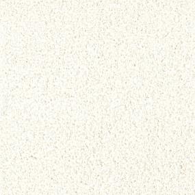 Casual Texture Beach Beige/Tan Carpet