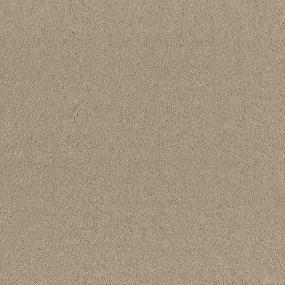 Textured Saxony Winter Bark Beige/Tan Carpet