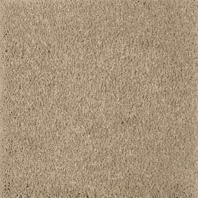 Textured Saxony Winter Bark Beige/Tan Carpet