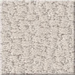 Pattern Whiskers Gray Carpet