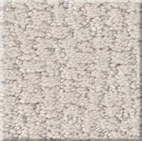 Pattern Whiskers Gray Carpet