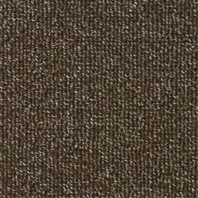 Loop Campania Brown Carpet