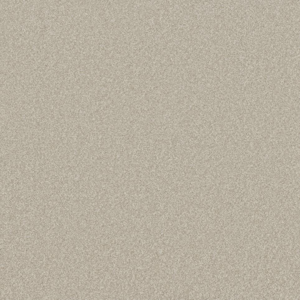 Textured Saxony Chevalier Beige/Tan Carpet